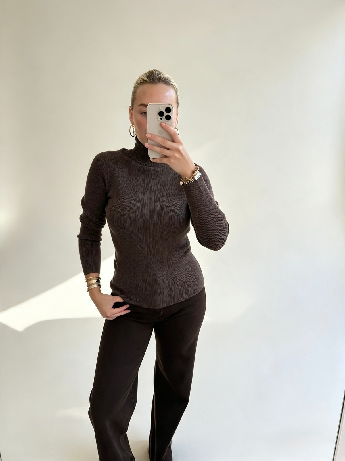 Deep Brown Ribbed Roll Neck Top